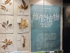-中山市树木园