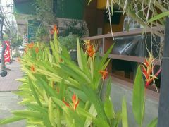 android_upload_pic-云南餐厅