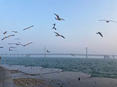 -星海广场