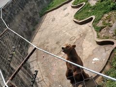 -无锡动物园·太湖欢乐园