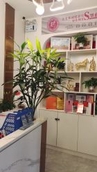 -金美秀瘦身养生