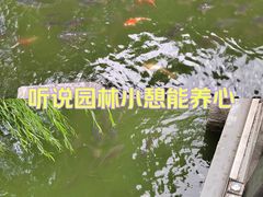 -济南大明湖景区