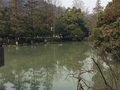 image-杭州花家山庄