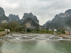 -明仕田园