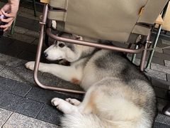 -SAANCI山池咖啡(卓悦中心店)