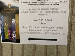 -香港大学