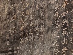 -窦大夫祠