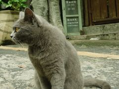 -火炉山森林公园