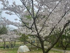 -采石矶景区
