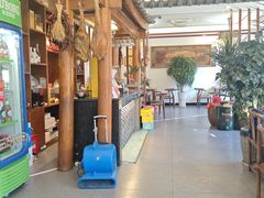 -白家寨子·山野白族菜(古城总店)