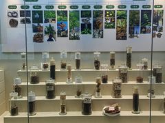 -广东中医药博物馆