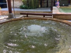 -春晖园度假酒店温泉