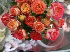 -循礼门鲜花花市(武汉循礼门店)