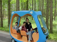 -黄海国家森林公园