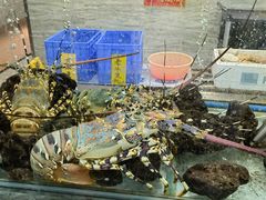 -寻味顺德·南记酒家·传统顺德菜·鱼生(广源路店)