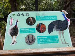 -昆明动物园