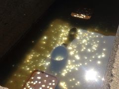 -蔡元培故居
