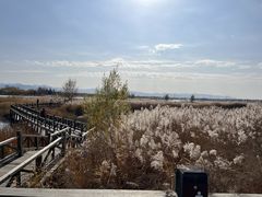 -野鸭湖国家湿地公园