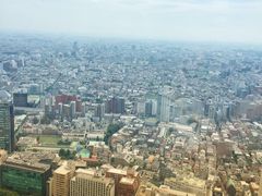 -东京都厅舍