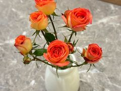 -循礼门鲜花花市(武汉循礼门店)