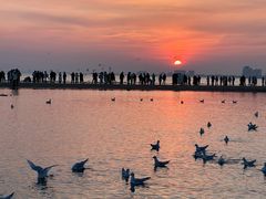 -老虎石海上公园