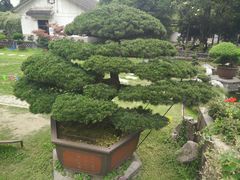 -水绘园
