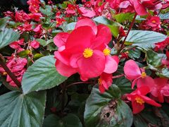 -四川大学(华西校区)