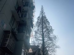 -纽斯洗浴SPA(三墩店)