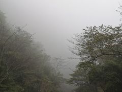 -白云源风景区