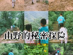 -杭州半山国家森林公园