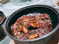 -三强鸽子(中原路店)
