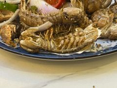 -生蚝园
