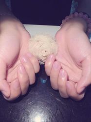 -EMILY艾枚莉美甲美睫·美颜·现磨咖啡