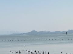 -深圳湾公园(南山区)