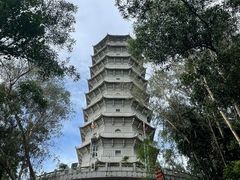 -深圳国际园林花卉博览园