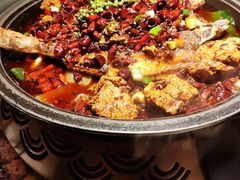 经典麻辣烤鱼-烤匠麻辣烤鱼(环球中心店)