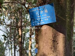 -中山市树木园