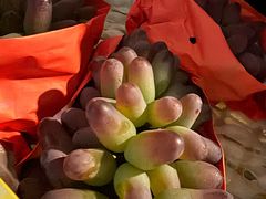 -马陆小张葡萄园农家乐