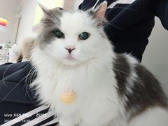 -怪兽屋·羊驼·猫咖·狗咖(俊华广场店)