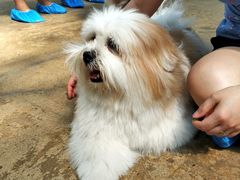 -TrueLove @ Neverland (Husky Cafe)