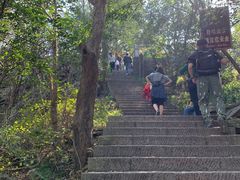 -紫金山山顶公园