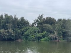 -五里桥文化公园-西侧停车场