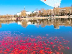 -西海子公园