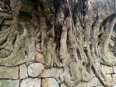 -东山风动石景区