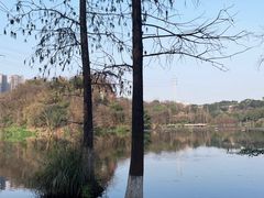 -重庆彩云湖湿地公园