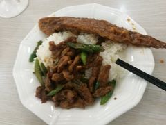 -天津大学学五食堂连岗餐饮