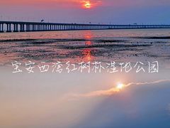 -宝安西湾红树林湿地公园