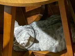 -H立方实景剧情密室(天河旗舰店)