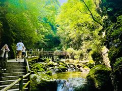 -牛背梁国家森林公园