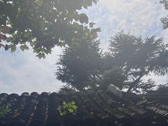 -水绘园
